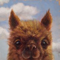 Alpaca | Oil | 5x5 | SOLD