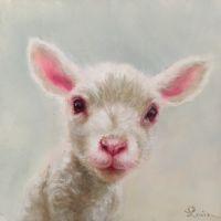 Baby Sheep | Oil | 5x5 | SOLD