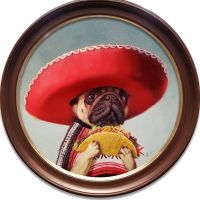 Mi Taco- Mi Amigo | Oil | 16x16 | SOLD