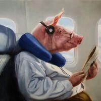 When Pigs Fly | Oil | 20x24 | SOLD