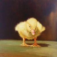 Just Hatched II | Oil | 8x8 | SOLD