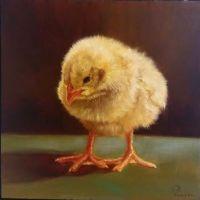 Just Hatched III | Oil | 8x8 | SOLD